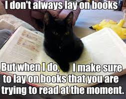 Sabotage Cat Cats Cat Books Puppies And Kitties