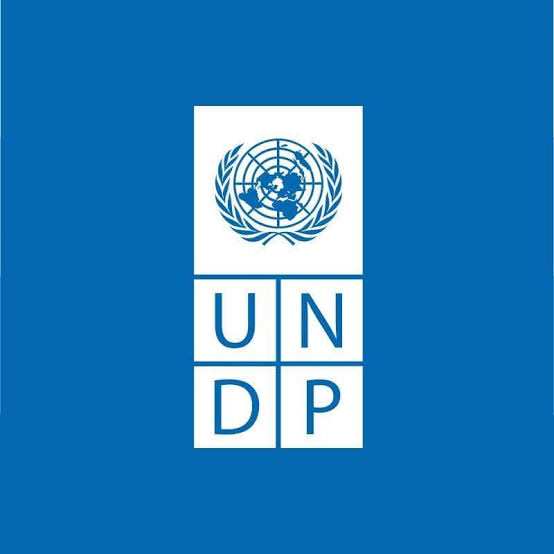 تدريب برنامج الأمم المتحدة الإنمائي UNDP Egypt Internship Roster | منصة  إيجينكس