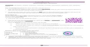 Cell division gizmo answer key old.toulouse.fm cell division gizmo answer key download pdf cell division gizmo answer pdf download now for free pdf ebook cell division answer key gizmo at our online ebook library. Modified Cell Division Gizmo Doc Document