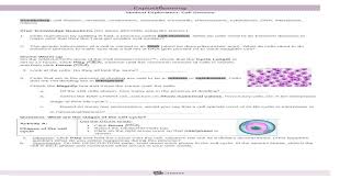 Read pdf cell division gizmo answers. Modified Cell Division Gizmo Doc Document