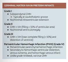Grading Germinal Matrix Haemorrhage In Preterm Infants Preterm Hemorrhage Matrix