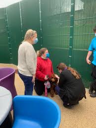 Afton Ward Isle of Wight...