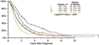 We'll deliver the guide overnight and free of charge. The Iaslc Mesothelioma Staging Project Improving Staging Of A Rare Disease Through International Participation Sciencedirect