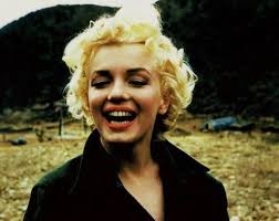 Andrew Sadd (saddosaur)