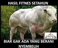 Tnv3zkswzggwbm