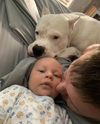 Baby pic! Baby Bishop and his bestest big brother, Bruno. Raising by Rottie.