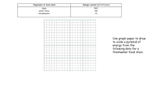 5 rose bushes 100 greenfly 25 ladybirds. National 5 Biology Section 17 Energy In Ecosystems Ppt Download