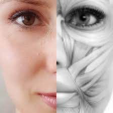 Japoński Masaż Liftingujący Aleksandra Dąbrowska