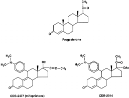 Maybe you would like to learn more about one of these? The Chemical Structure Of Progesterone Mifepristone Ru486 And Cdb 2914 Download Scientific Diagram