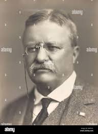Theodore roosevelt hi-res stock photography and images