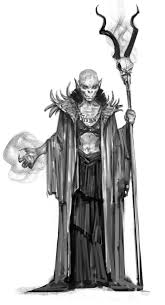 Image result for Diceratostele