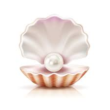 Pearl clipart Images - Free Download on Magnific (formerly Freepik)