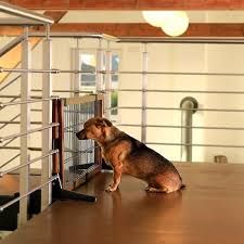 Offriamo la nostra lista principale dei migliori cancelli per cani casa per coloro che vogliono fare l'acquisto giusto. Cancelletto Per Cani Da Interno E Esterno Quali Cancelli Per Cane Scegliere