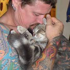 What Happens When Men with Cats Show Their Feline