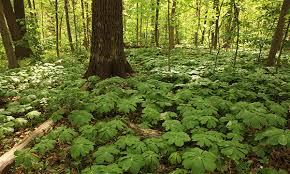 Moraine View State Recreation Area Parks