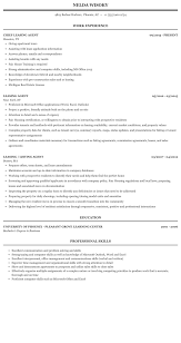 Leasing Agent Resume Sample Mintresume