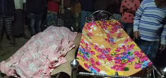 মতলব দক্ষিণে বিদ্যুৎস্পৃষ্ট হয়ে মা-ছেলের মৃত্যু - Trenadi - ত্রিনদী