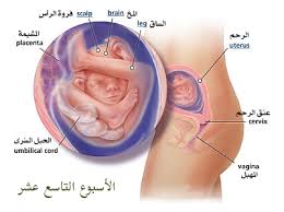 Pin On Baby