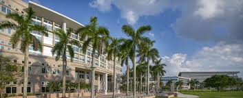 Protecting the university's brand via a consistent image is key to helping us thrive. Colleges Schools Nova Southeastern University