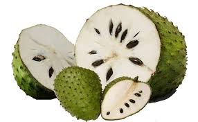 Persoalannya, adakah teh daun durian belanda ini mampu memberikan manfaat kepada kesihatan manusia? Uniknya Sirsak Seunik Nama Dan Khasiatnya Beritabeta