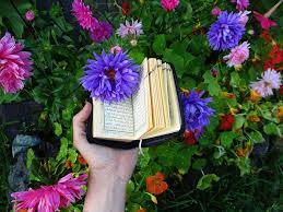 Light pink arabic colored rainbow quran available at imaanshop com. Quran 1080p 2k 4k 5k Hd Wallpapers Free Download Wallpaper Flare
