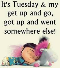 Lovethispic's pictures can doing this will save the funny tuesday quotes picture to your account for easy access to it in the. It S Tuesday And My Get Up And Go Got Up And Went Somewhere Else Morning Quotes Funny Good Morning Funny Funny Images With Quotes