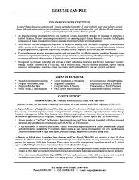 Check the job offer to make sure it won't reject an hr. Sample Cv Of Hr Executive India