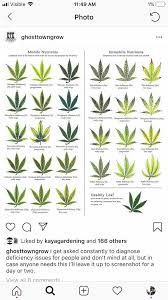 Deficiency Issue Chart Your Welcome Microgrowery