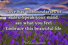 Love Has No Boundaries Or Rules Speak Your Mind Say What You Feel Embrace Purelovequotes