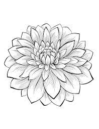 Flowers for adultscoloring pages are a fun way for kids of all ages to develop creativity, focus, motor skills and color recognition. Dahlia Flower Flowers Adult Coloring Pages