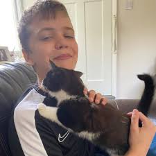 Cat sitting Potters Bar