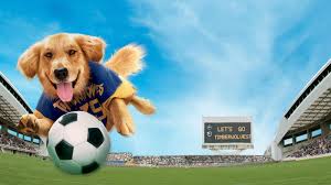 World pup was the first film in the air bud series not to be released. Air Bud World Pup Full Movie Movies Anywhere