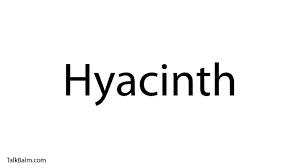 Summer hyacinth pronunciation with translations, sentences, synonyms, meanings, antonyms, and more. Pronounce Hyacinth Youtube