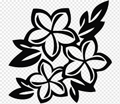 Gambar bunga bunga hitam putih. Menggambar Bunga Hitam Dan Putih Perbatasan Bunga Hitam Putih Daun Cabang Png Pngwing