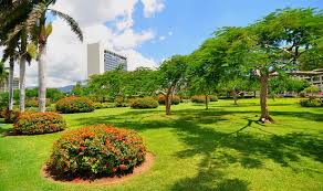 Take a look at this place in jamaica through the eyes of tourists. Hotel Seeing From Emancipation Park Picture Of The Jamaica Pegasus Tripadvisor