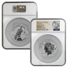 Image result for Sceptre Silver 1964 AMC