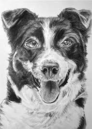 We did not find results for: Tekening Van Hondje