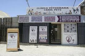 Clínica Veterinaria Carol Pets