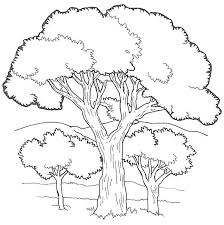 Our extensive collection of printable tree coloring pages is ideal for educational projects, nature studies and holiday activities like earth day, arbor day or a forest themed party. Coloring Pages Of Trees Dibujos Como Dibujar Arboles Pinturas De Arboles