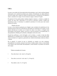 Que ocasiona dolor de espalda baja. Urea Y Creatinina Creatinina Rinon