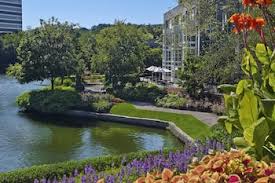 We did not find results for: 72 Best Verified Pet Friendly Hotels In Atlanta With Weight Limits Pet Fees