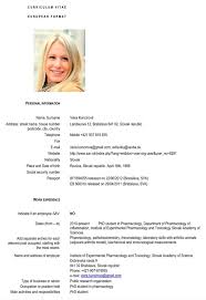 See good cv format examples and templates. Download Cv European Format For Free Formtemplate