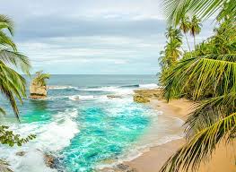 Als u bezoekers vraagt welk costa ricaanse strand het mooiste is, zouden geen twee mensen het eens zijn. Costa Rica Rundreise Aktive Vulkane Und Trage Faultiere
