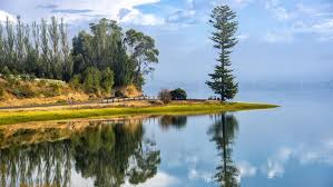 Johnny Douglas & his Orchestra – The Love of Music