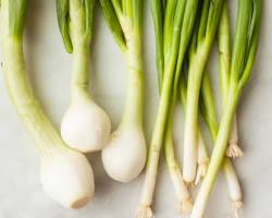 Image of Scallions