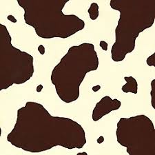 | see more dangerous cow wallpapers, cow print wallpaper, cow wallpaper. 48 Brown Cow Print Wallpaper On Wallpapersafari