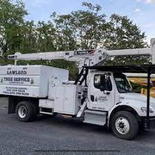 Based in hurley, new york and working throughout the surrounding towns and villages. Tree Services In Hurley Yelp