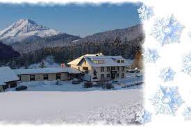 Das bergsteigerdorf lunz am see liegt im herzen des mostviertels. Bergfex Skigebiet Lunz Am See Maiszinken Gasthofe Lunz Am See Maiszinken Gasthof Lunz Am See Maiszinken