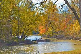 A Bend In The Wildcat Creek This Creek Flows Through Kokomo Indiana Great Place To Fish Kokomo Indiana Kokomo Hometown