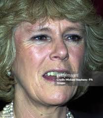 65 Camilla Stephens Stock Photos, High-Res Pictures, and Images